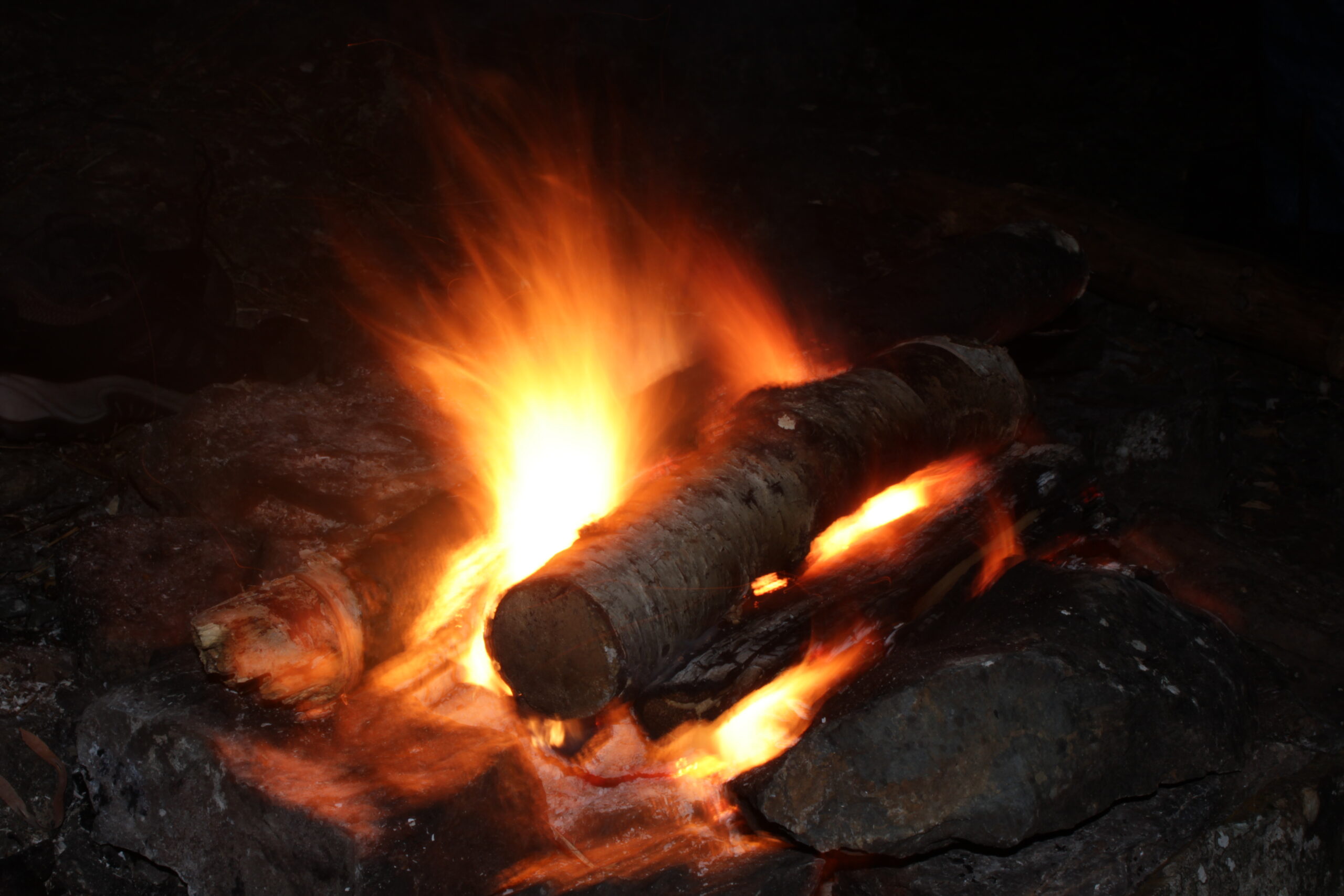FAMILY BUSHCRAFT WEEKEND - Image 2