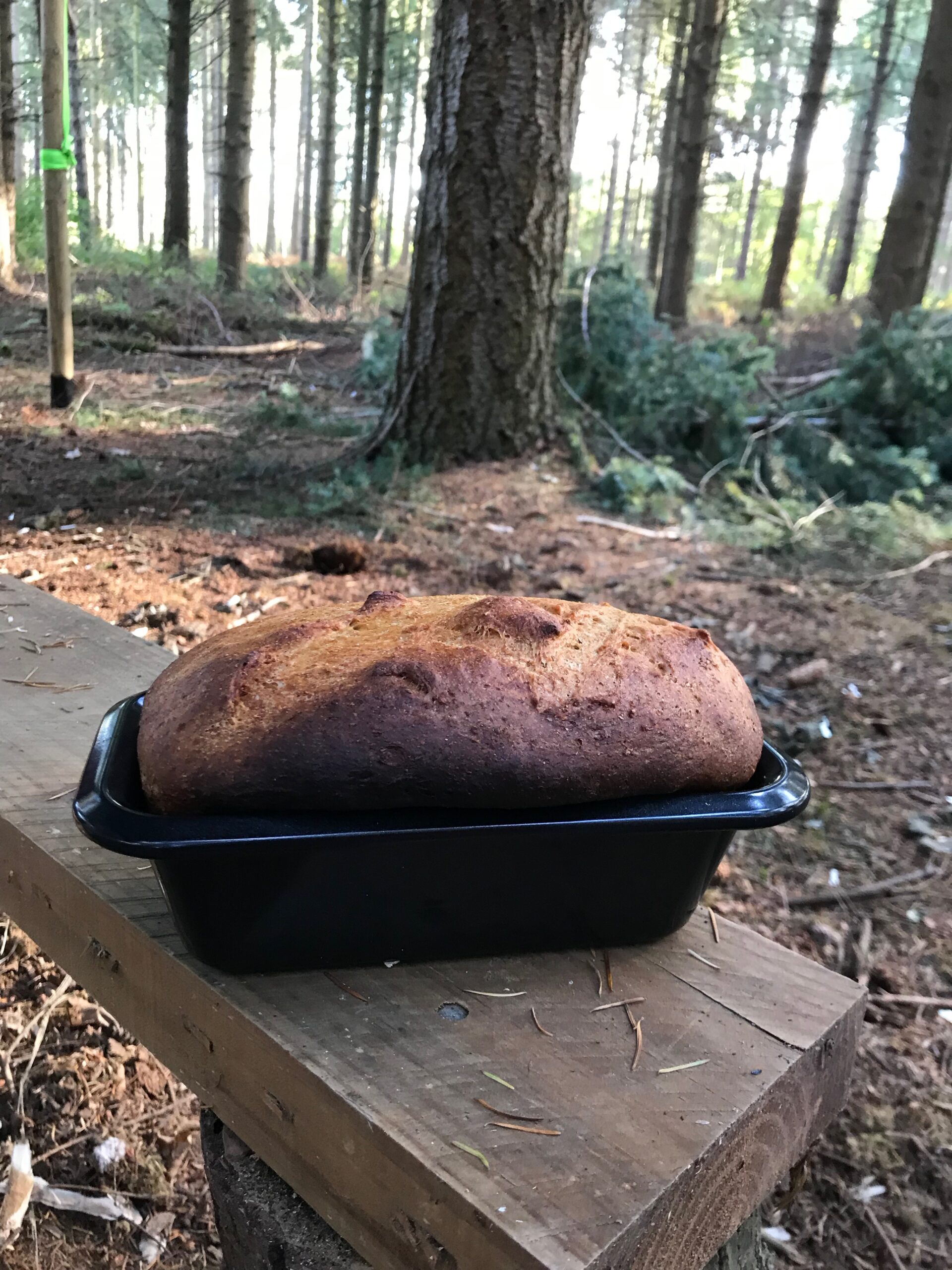 SPOON CARVING AND WOODLAND COOKING - Image 17