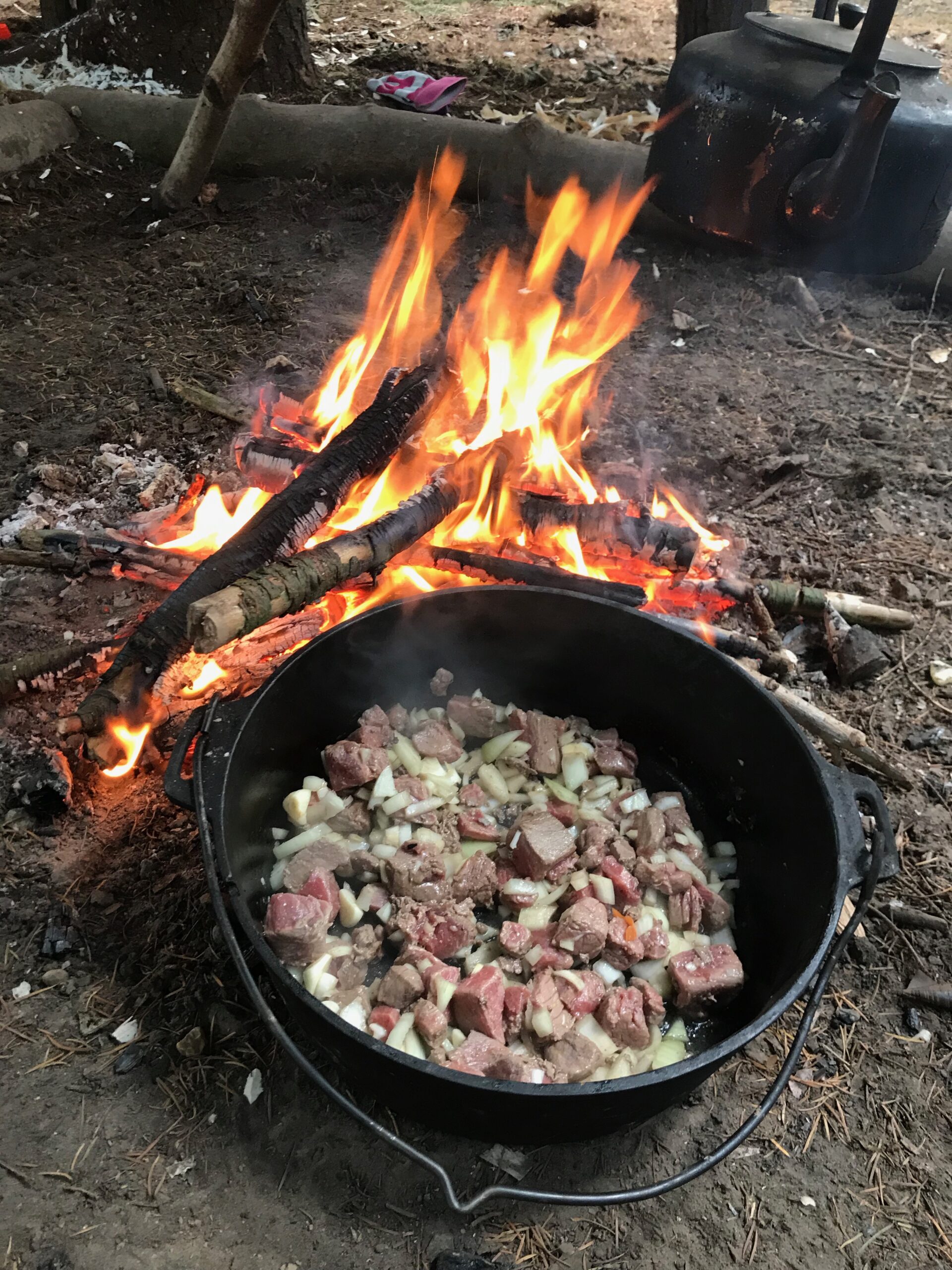 SPOON CARVING AND WOODLAND COOKING - Image 18