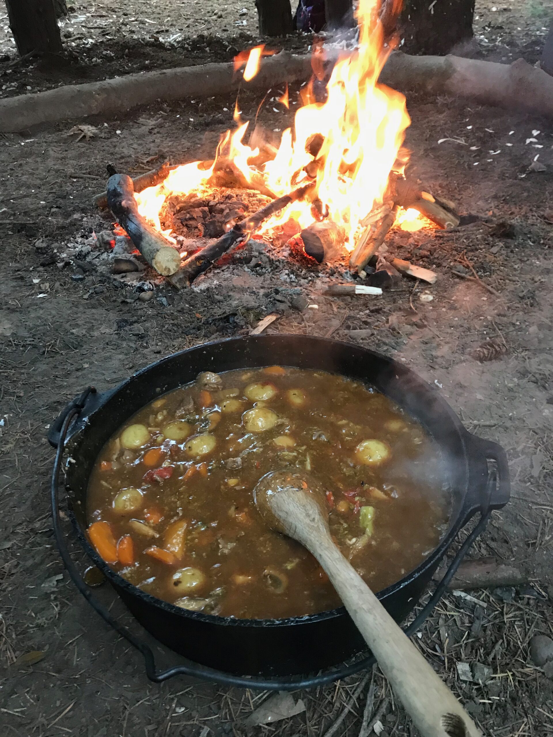 SPOON CARVING AND WOODLAND COOKING - Image 21