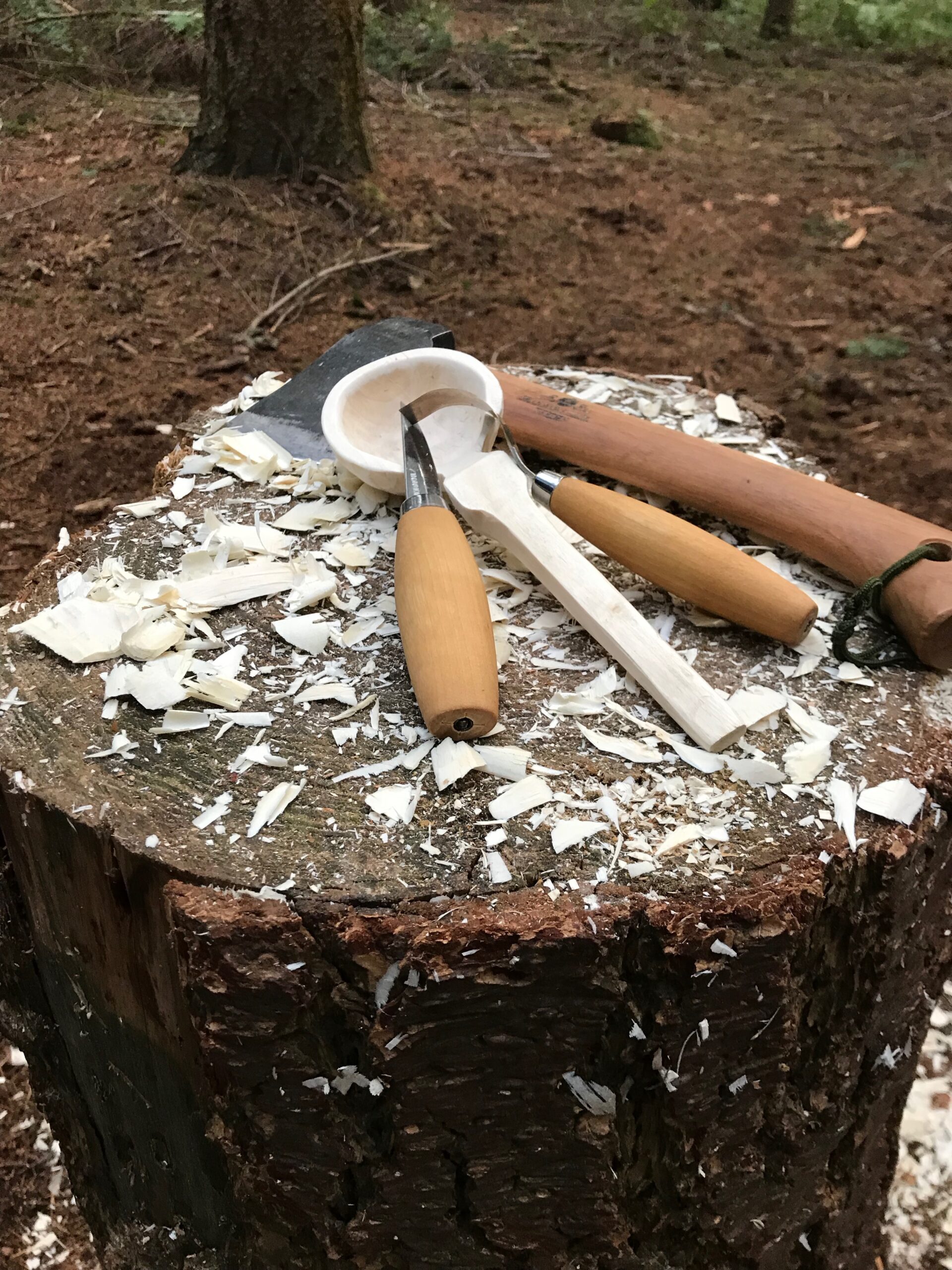 SPOON CARVING AND WOODLAND COOKING