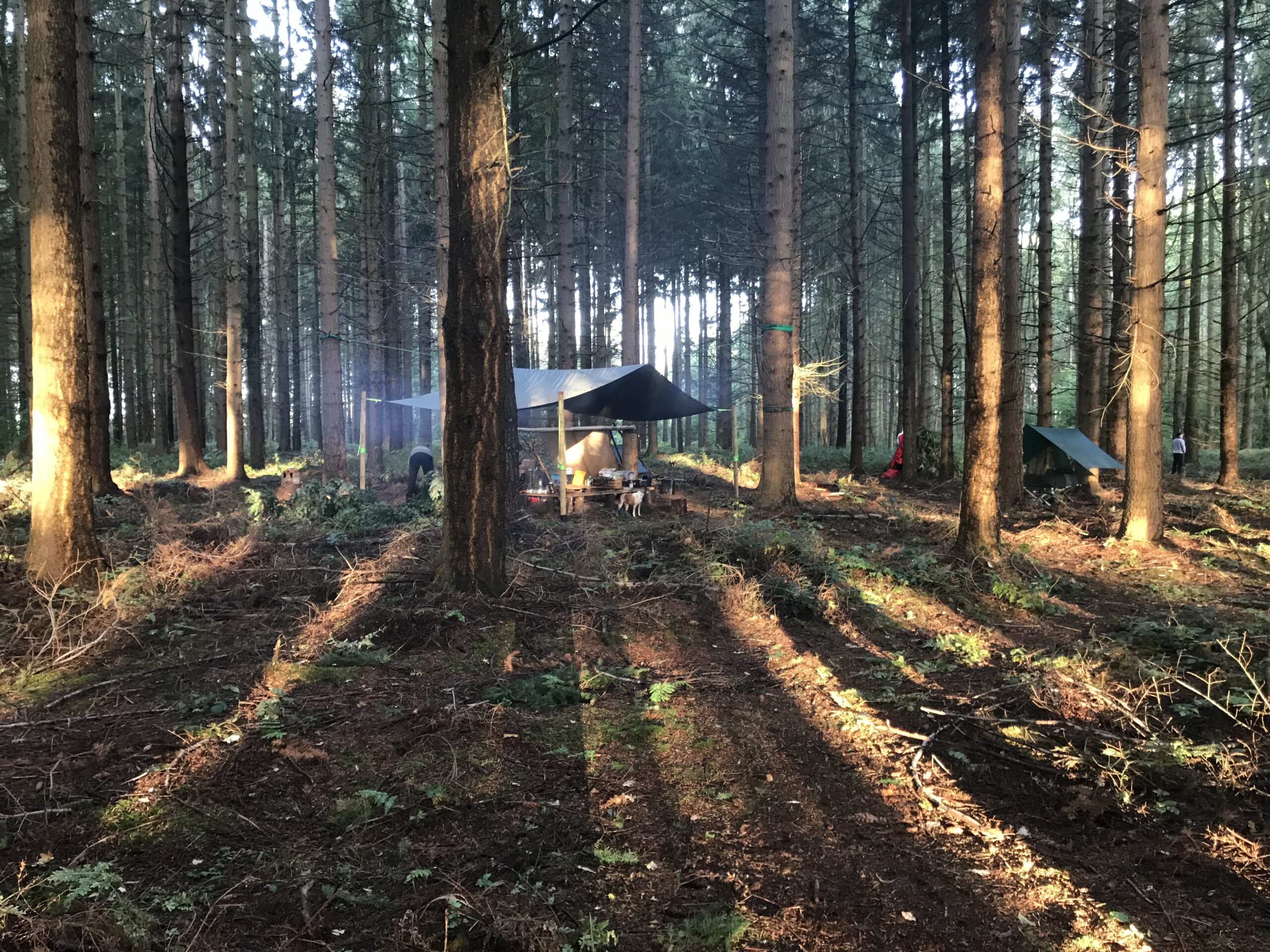SPOON CARVING AND WOODLAND COOKING - Image 5