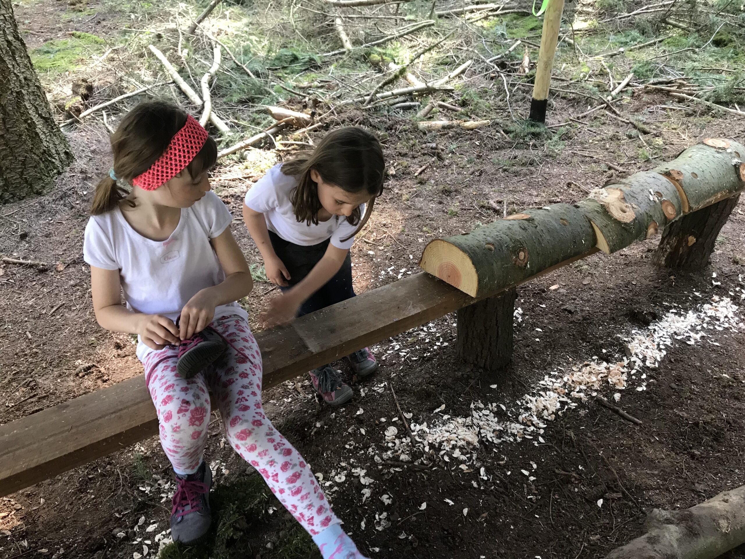 FAMILY BUSHCRAFT WEEKEND - Image 3