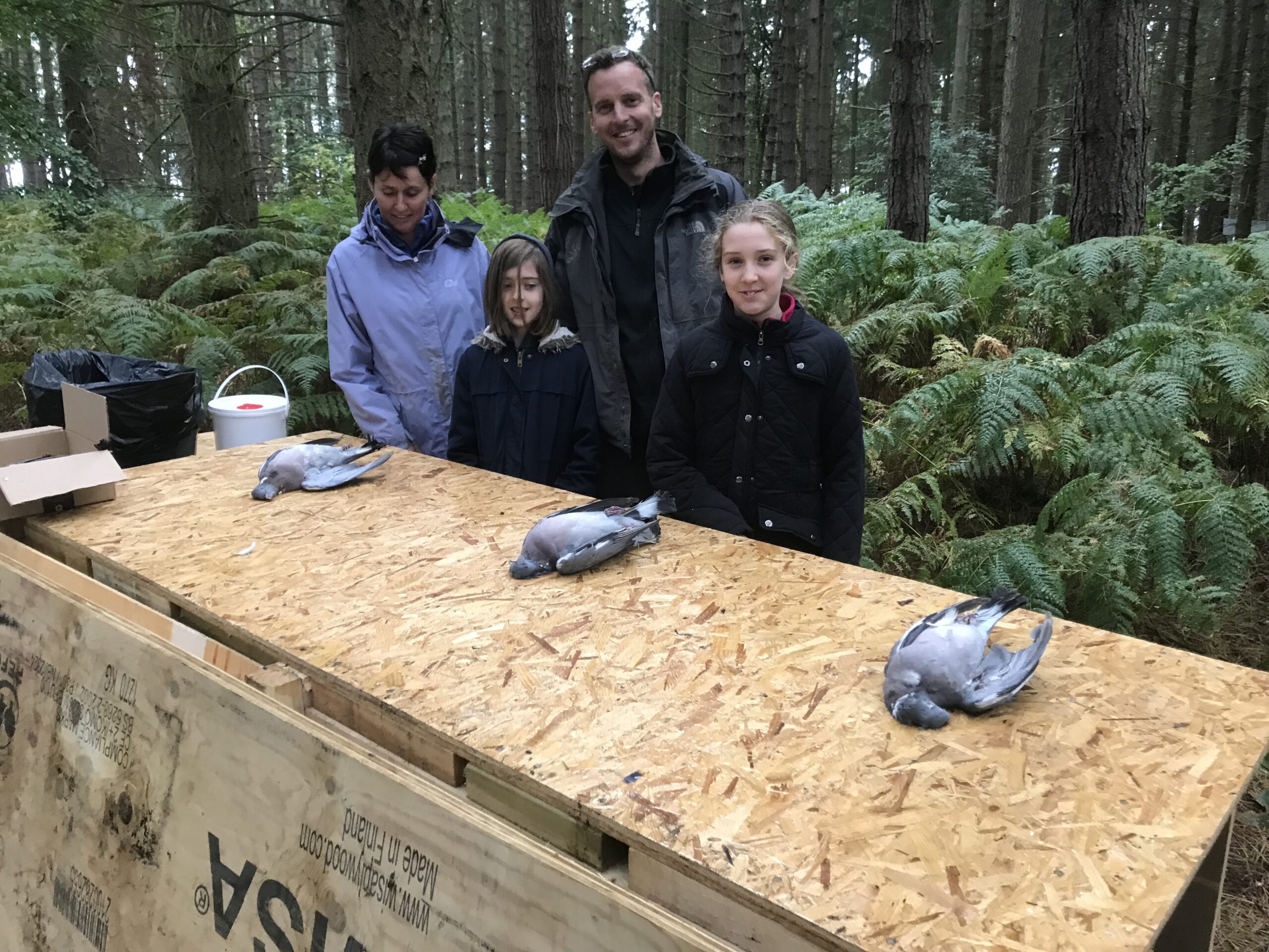 FAMILY BUSHCRAFT WEEKEND - Image 11