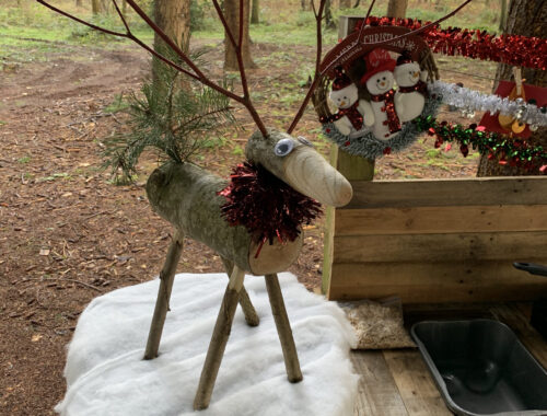 Christmas Creativity - Wooden Reindeer
